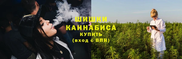 мдпв Верхний Тагил