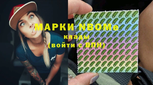 мдпв Верхний Тагил