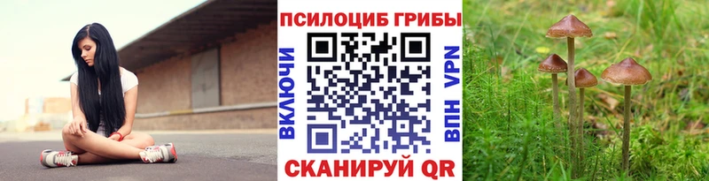 Галлюциногенные грибы Psilocybine cubensis  Купить где  Кинель 